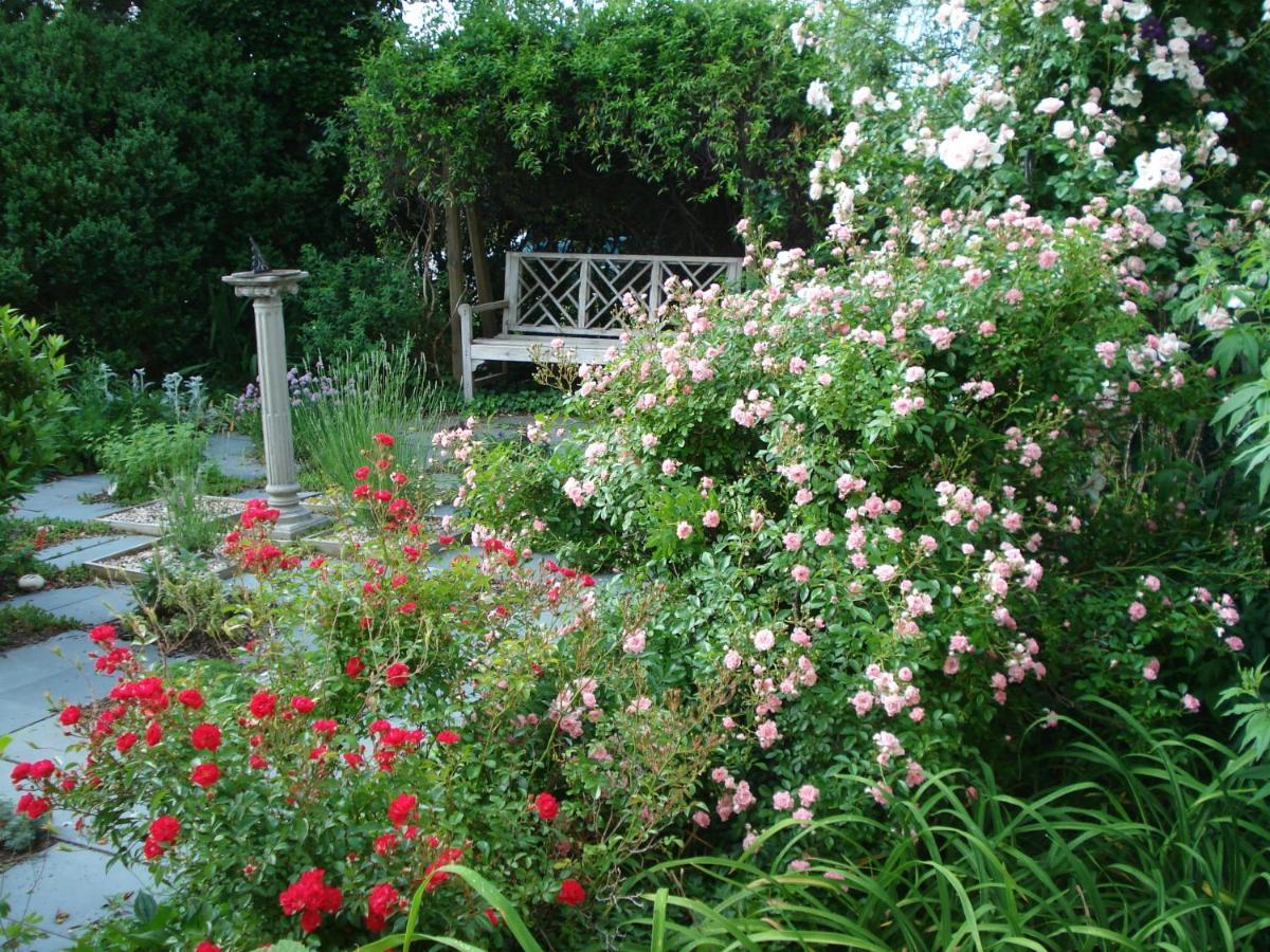 ويليامزبرغ Newport House Bed & Breakfast المظهر الخارجي الصورة